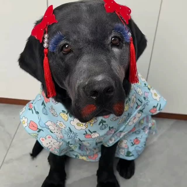 Post by lingting.china