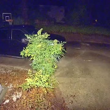 Post by natureismetal