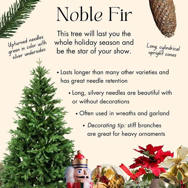 Post by stateforesters