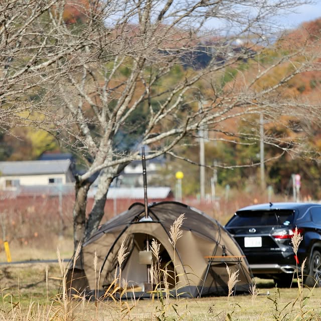 Post by pomolyofficial