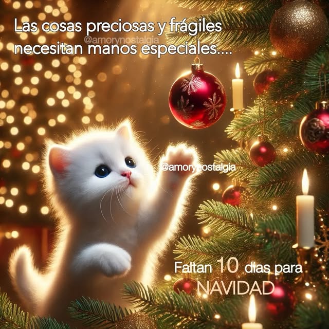 Post by amorynostalgia