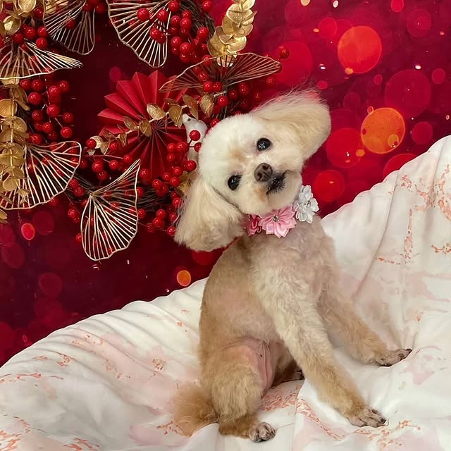 Post by natsukiikeda624