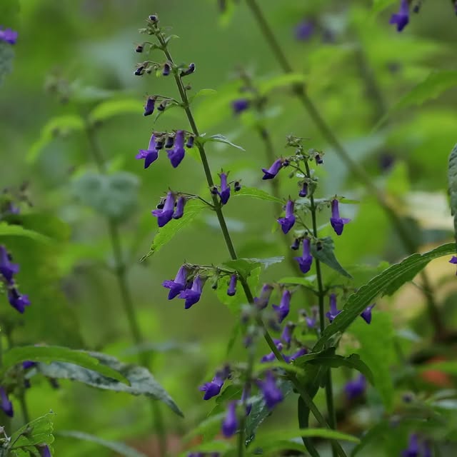 Post by basilikum_und_kaktus