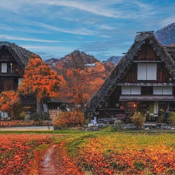 Post by ivan_yang0123