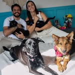 casalpetfamily