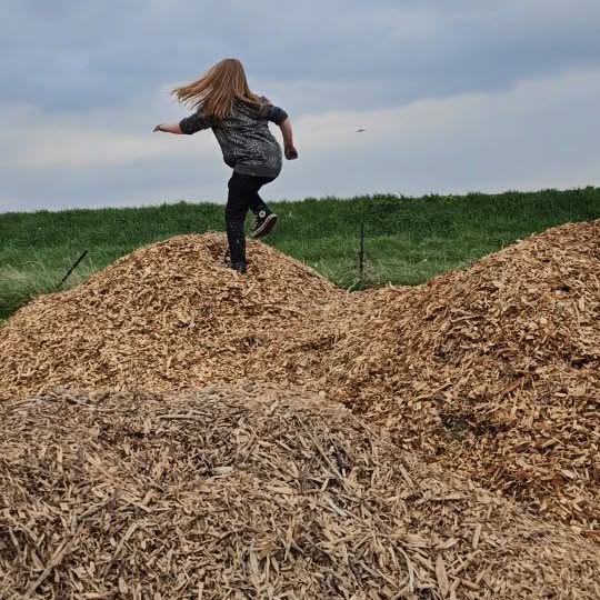 Post by theealyhomestead