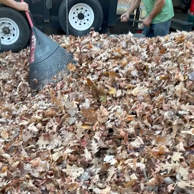 Post by whitehollowhome