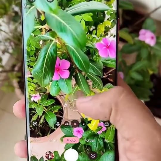 Post by motorola_fans