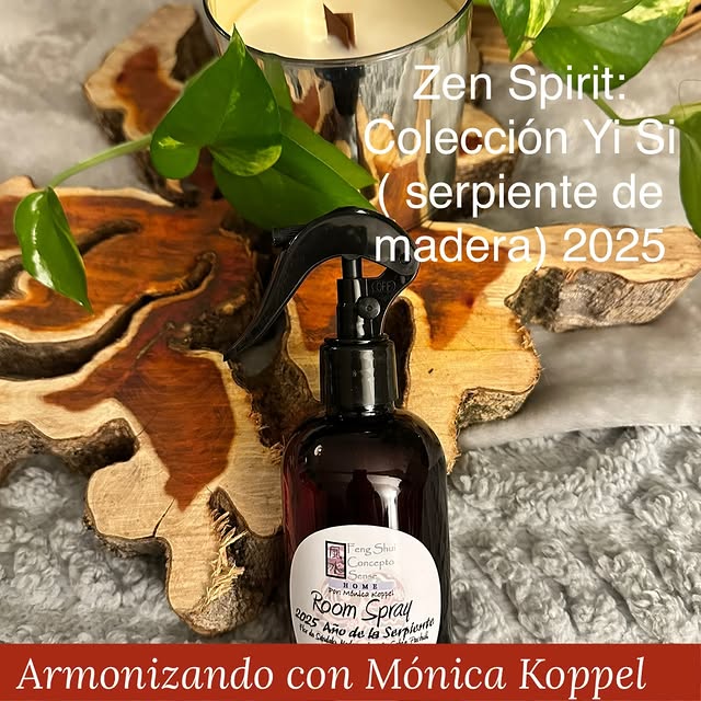 Post by monicakoppelgcfengshui