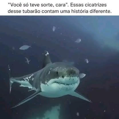 Post by vireiadultoo