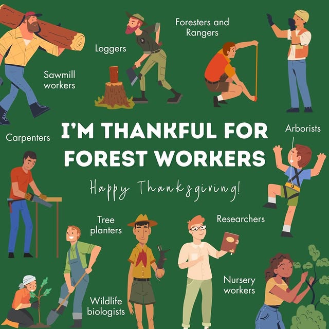 Post by stateforesters