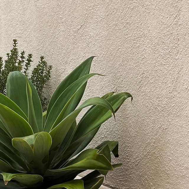 Post by bondilandscapes