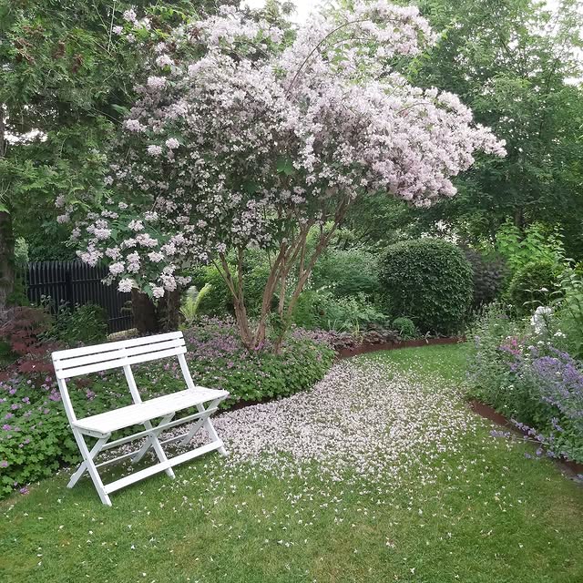 Post by sofiehills_tradgard