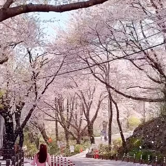 Post by seoul.southkorea