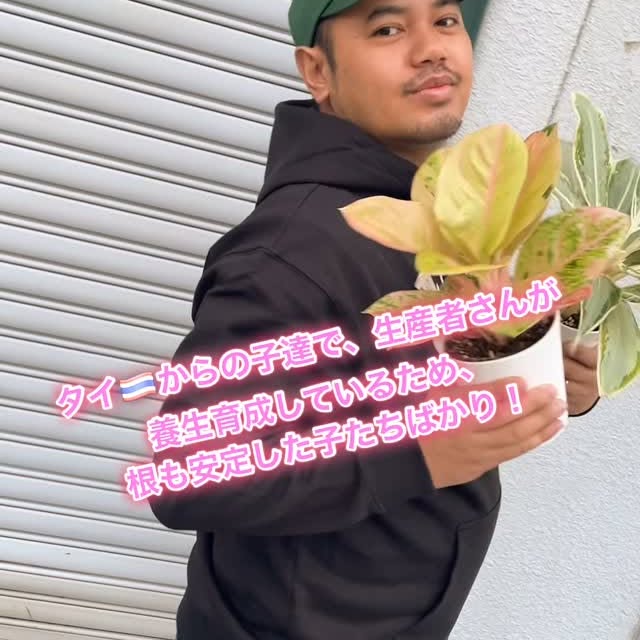 Post by garden_en2022