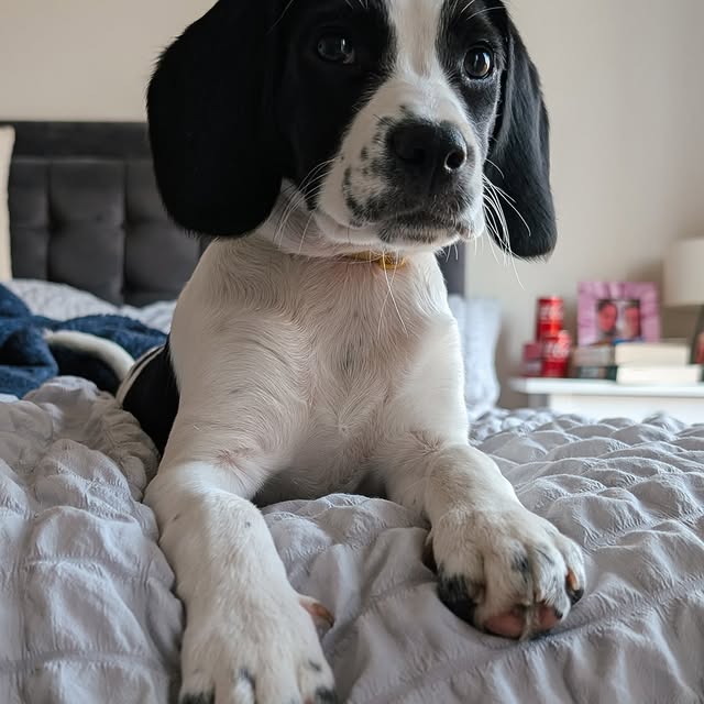 Post by gabs.d1agram