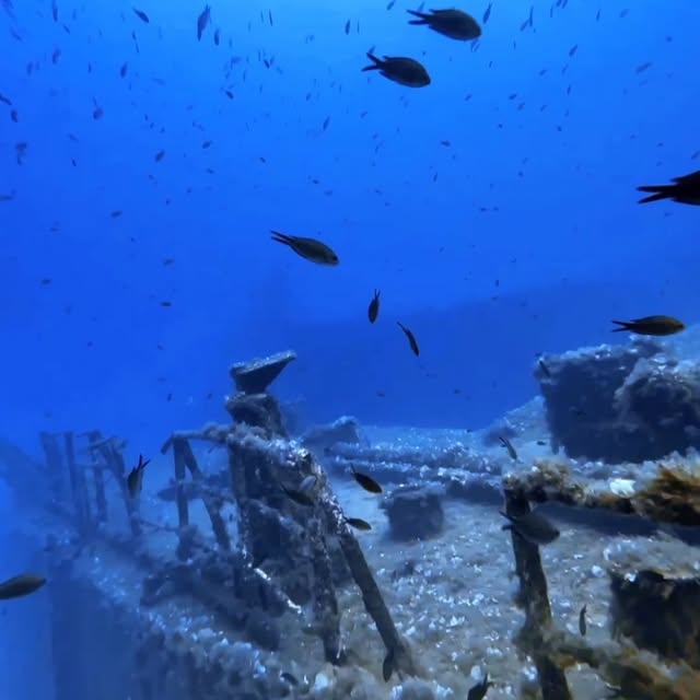 Post by travelfordiving