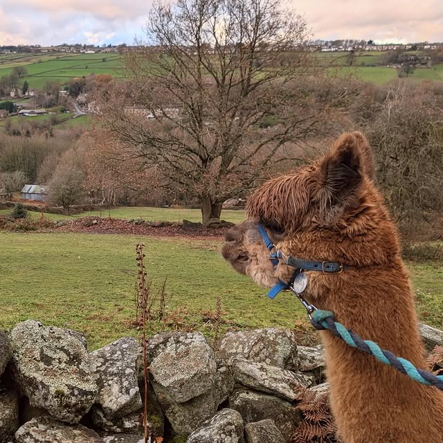 Post by our_country_life_photography