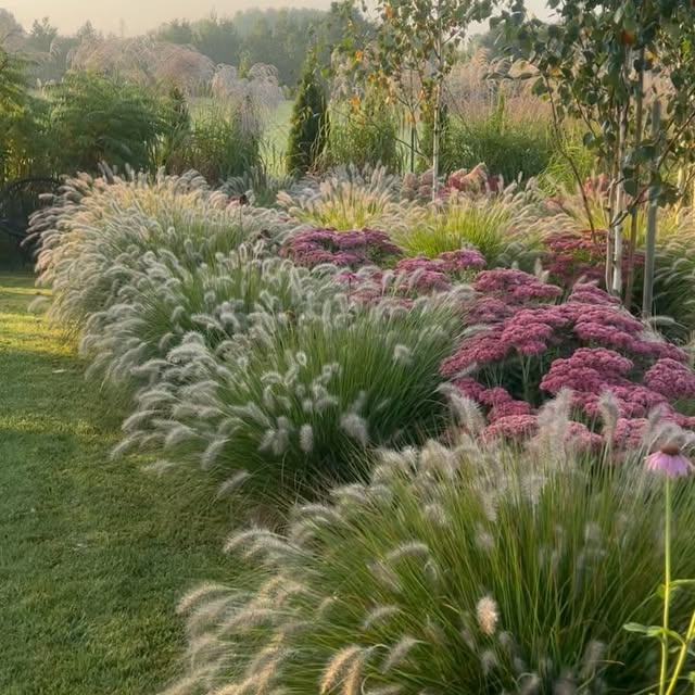 Post by szczypiorkatarzyna