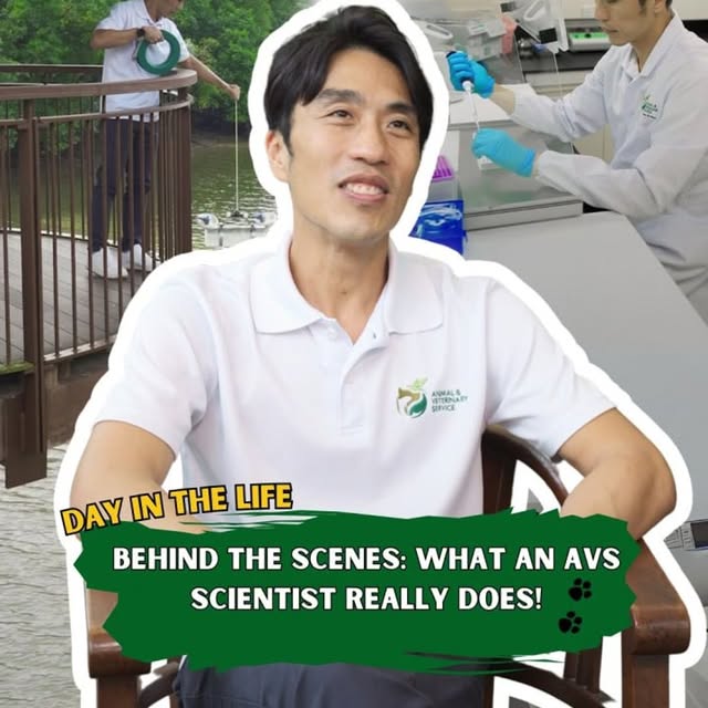 Post by mothershiponearth