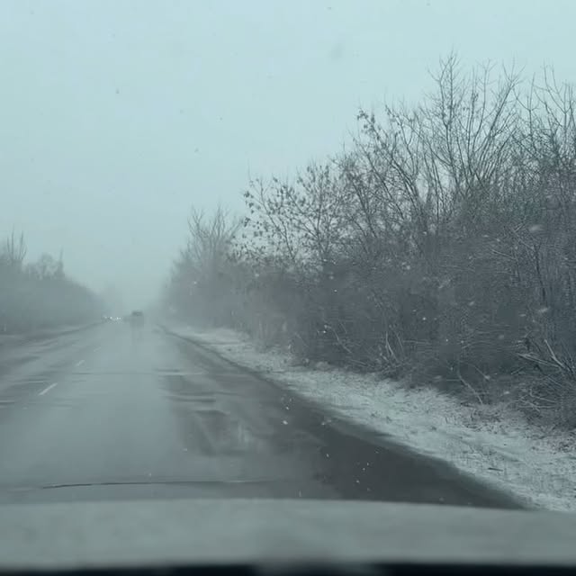 Post by ptashka_from_azovstal