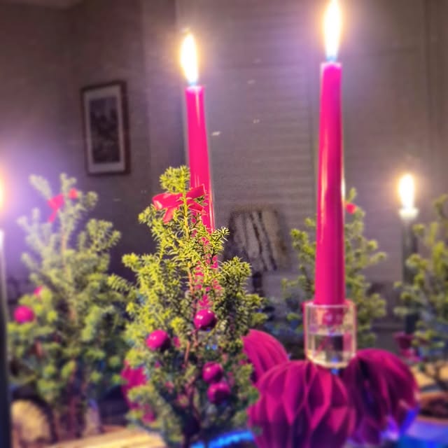 Post by the_hampshire_gardener