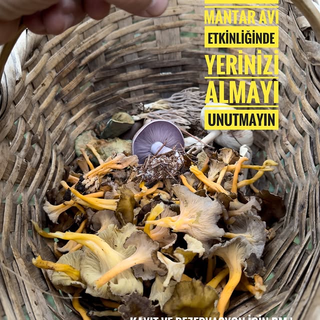 Post by dogadaki_sakal