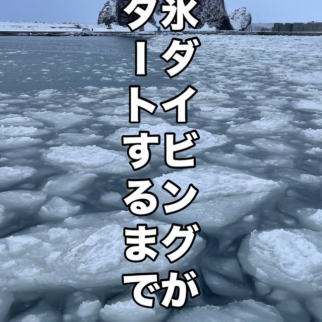 Post by shota_gorillahouse