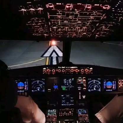 Post by thebanyanflights