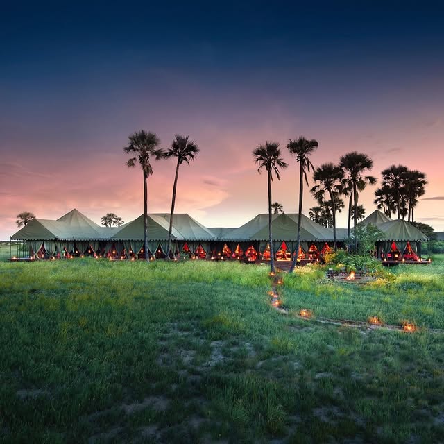 Post by grandafricasafaris