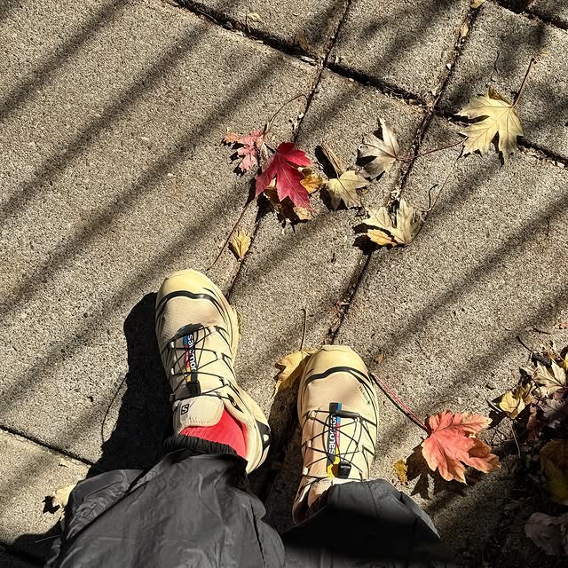 Post by rachelgerdes