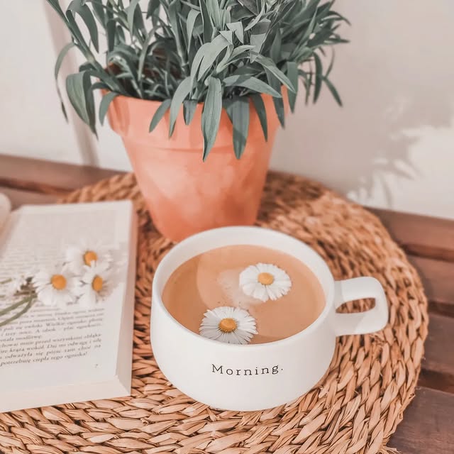 Post by izz.cozy.home