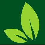 Dicas_naturais e receitas 💥's profile picture