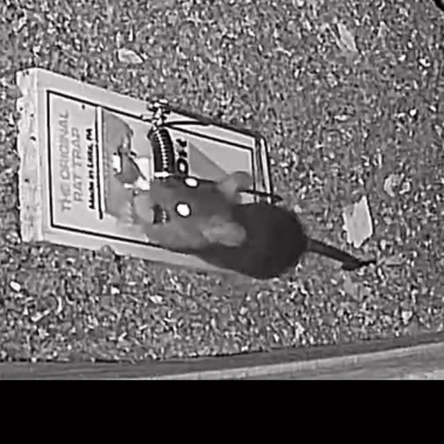 Post by twinhomeexperts