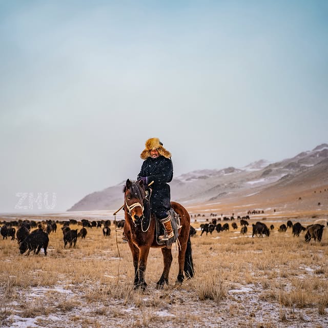 Post by zhuzhu_swazeny