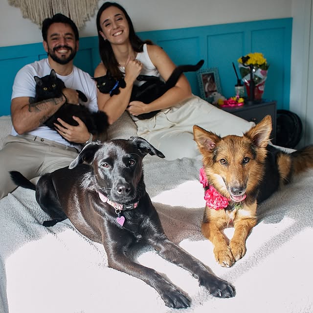 Post by casalpetfamily