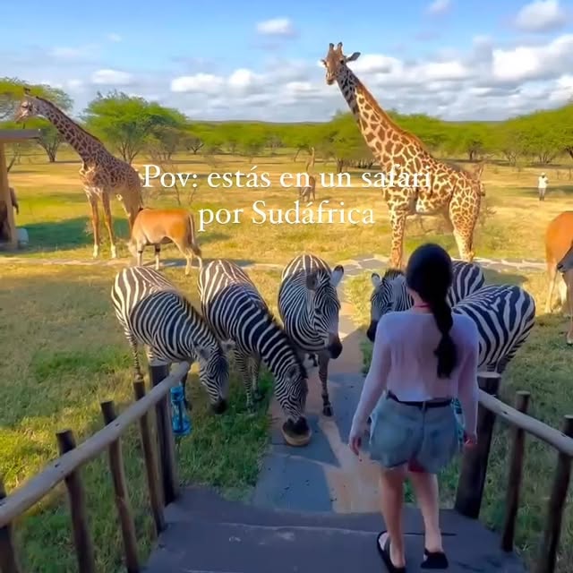 Post by sttravelshop