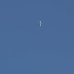 로운's profile picture