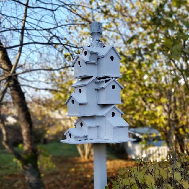 Post by sofiehills_tradgard