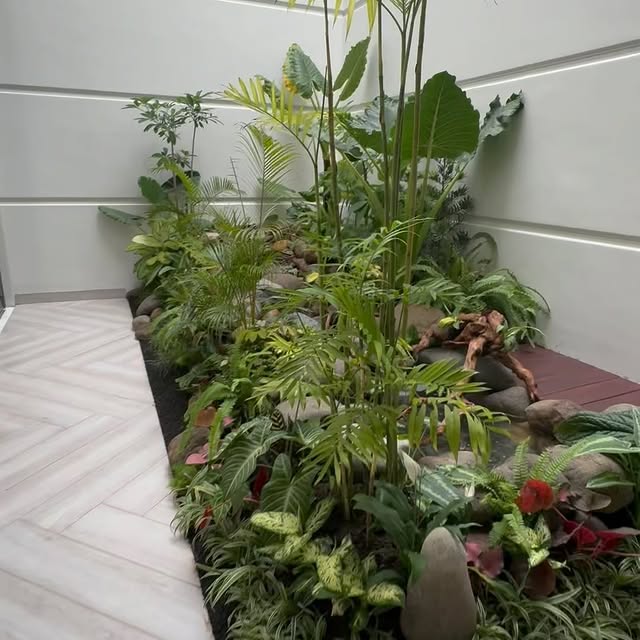 Post by tukangtamanmedann