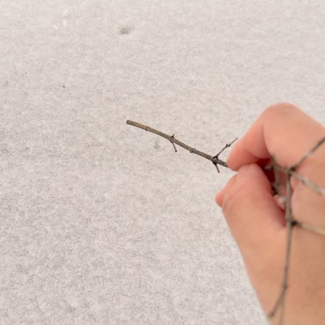 Post by gunny_koreanteacher