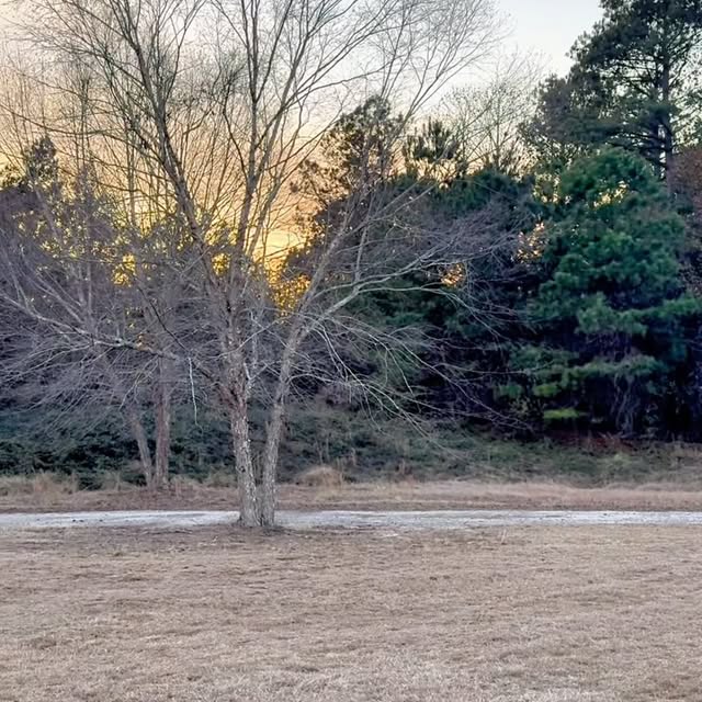 Post by greenhorngrove