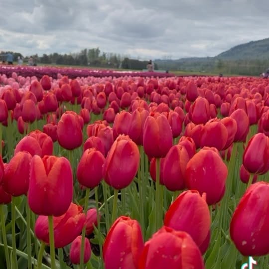 Post by himantharaaa