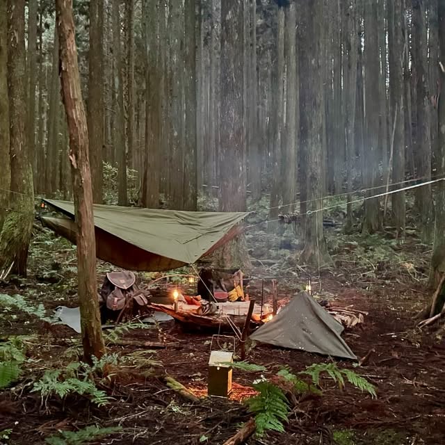 Post by j_pot_camp78