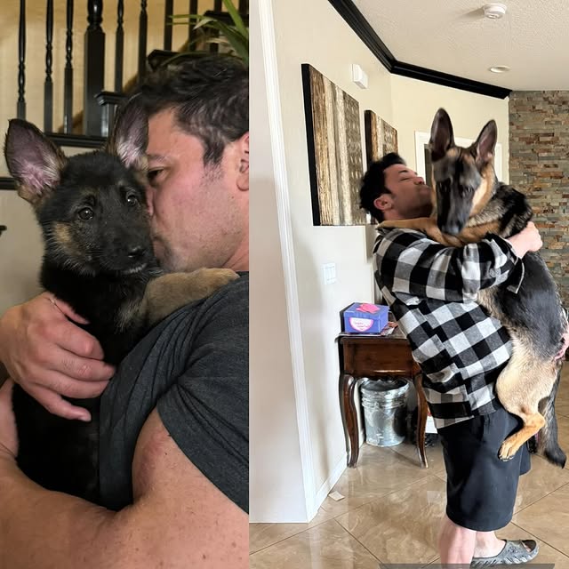 Post by ifbbproaustin_k