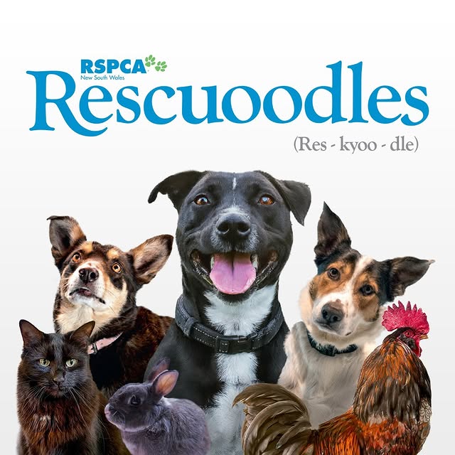 Post by rspcansw