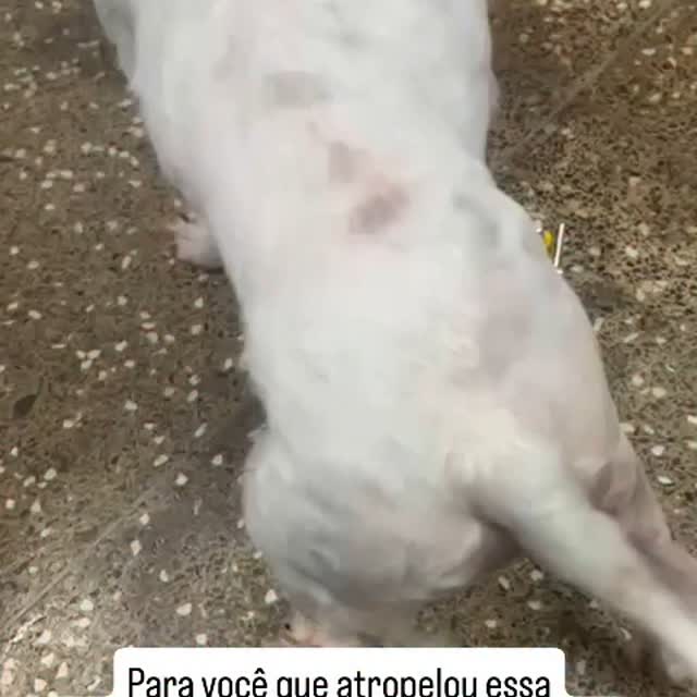 Post by cleviane_moreira