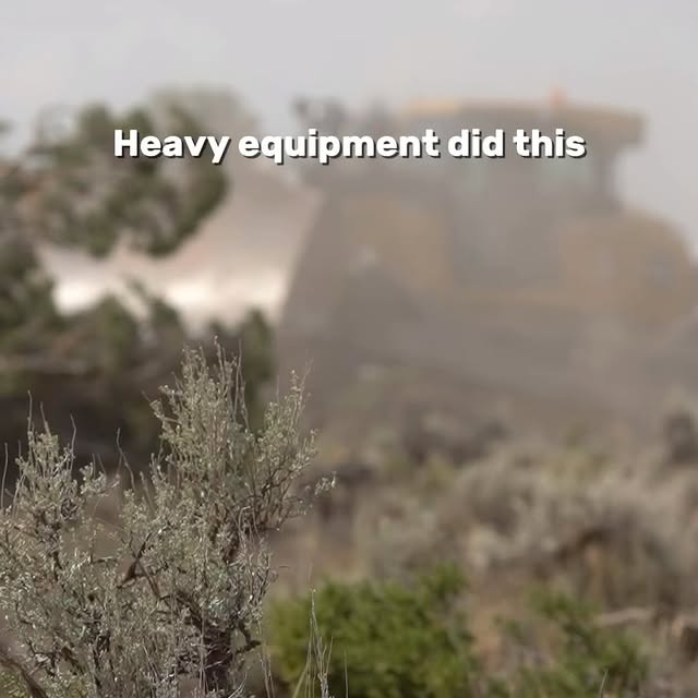 Post by nevada_fuels