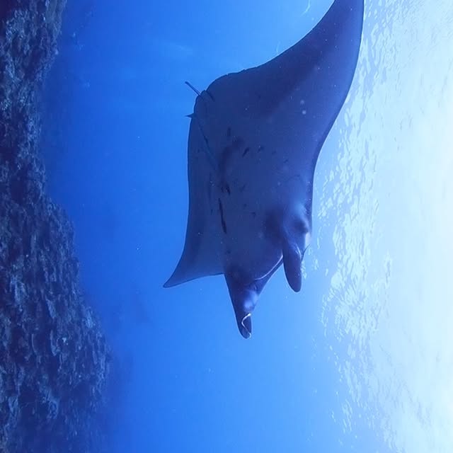 Post by yudai.hoshino.ishigakijima