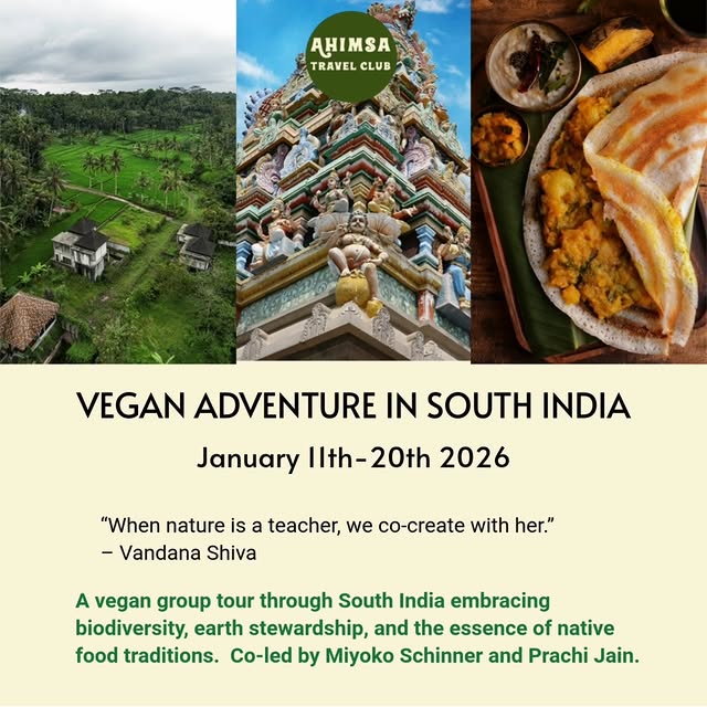 Post by miyokoschinner